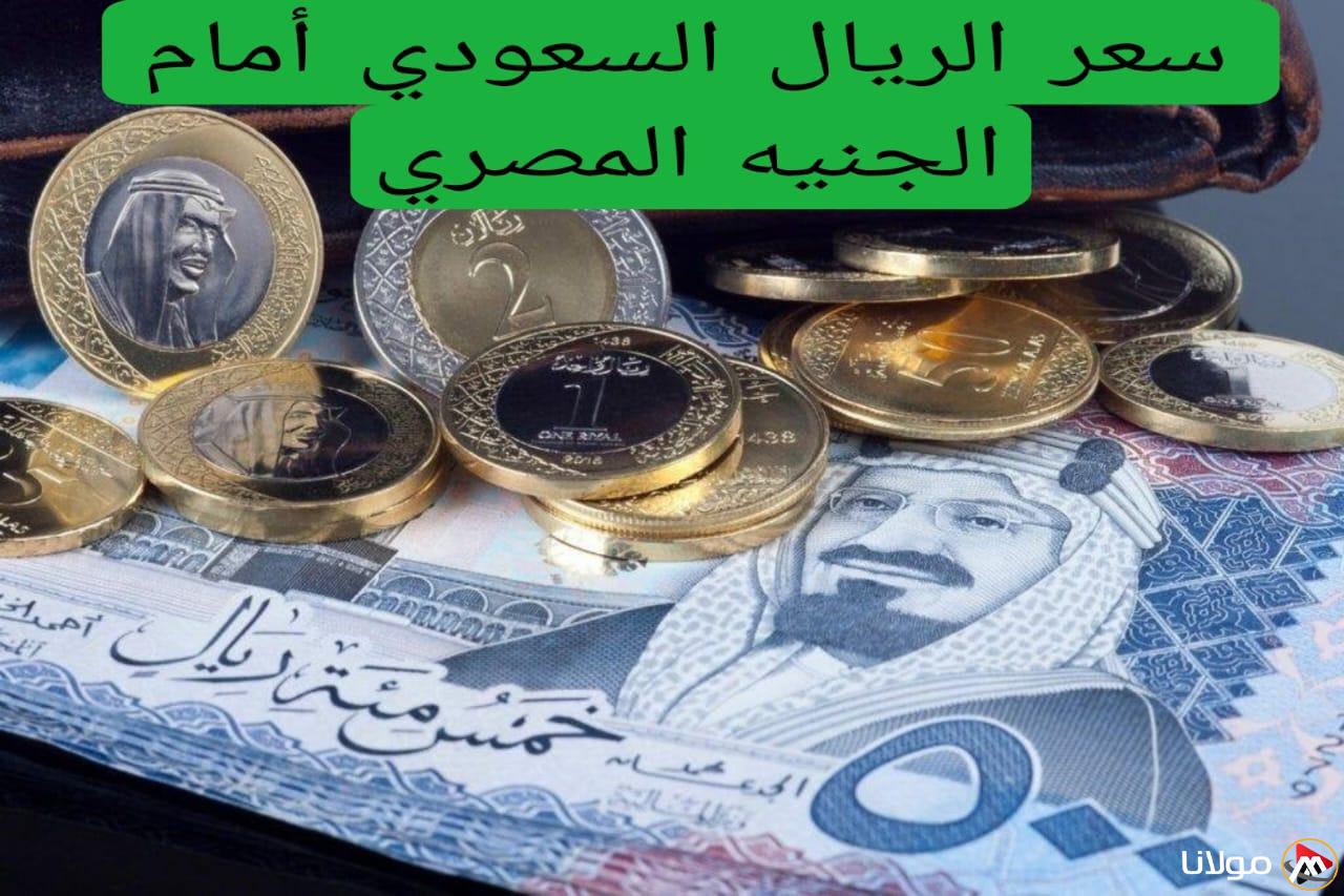سعر الريال السعودي مقابل الجنيه المصري اليوم في جميع البنوك .. زيادة كبيرة بعد العيد