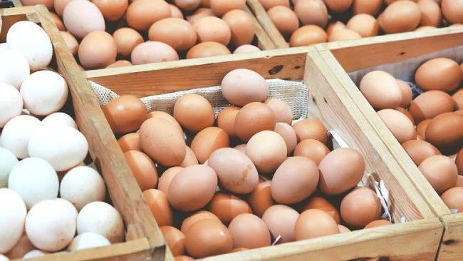 أسعار كرتونة البيض الأبيض والأحمر والبلدي اليوم الخميس 24 أبريل: تعرف على آخر التحديثات