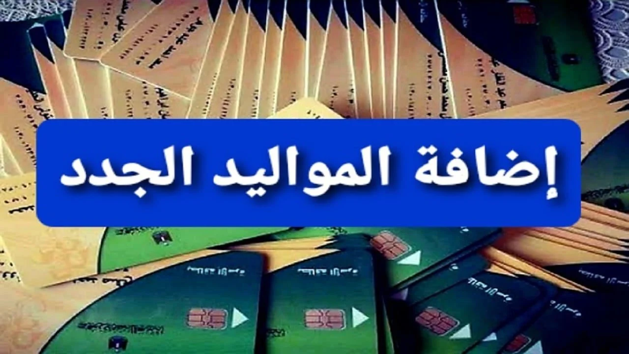 كيفية إضافة مواليد جدد على بطاقة التموين بسهولة في أبريل 2025 – خطوة بخطوة!