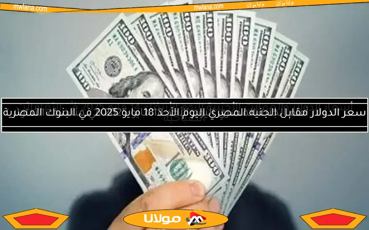 سعر الدولار اليوم الجمعة 9 مايو 2025 في البنوك: آخر التحديثات والمستجدات