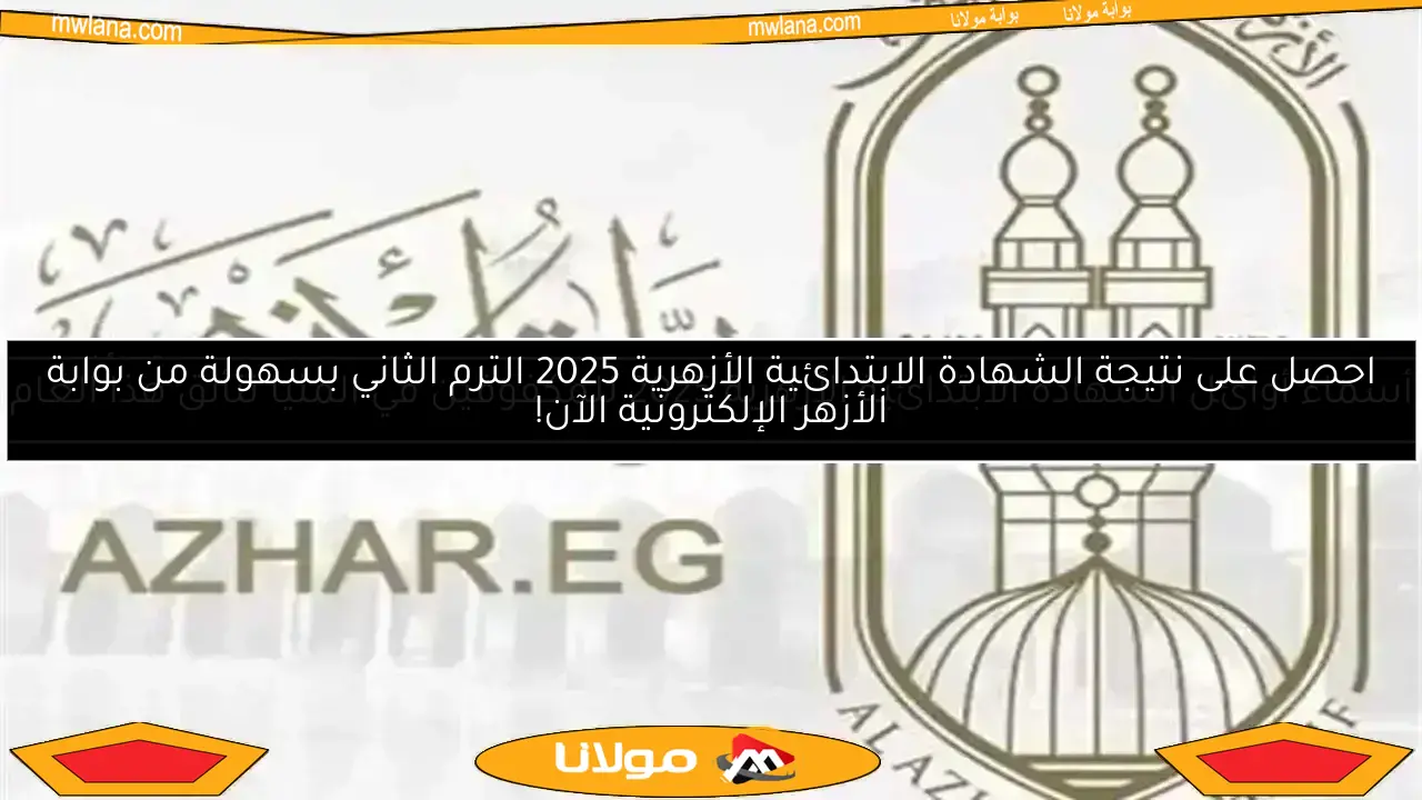 أسماء أوائل الشهادة الابتدائية الأزهرية 2025 للمكفوفين في المنيا تتألق هذا العام