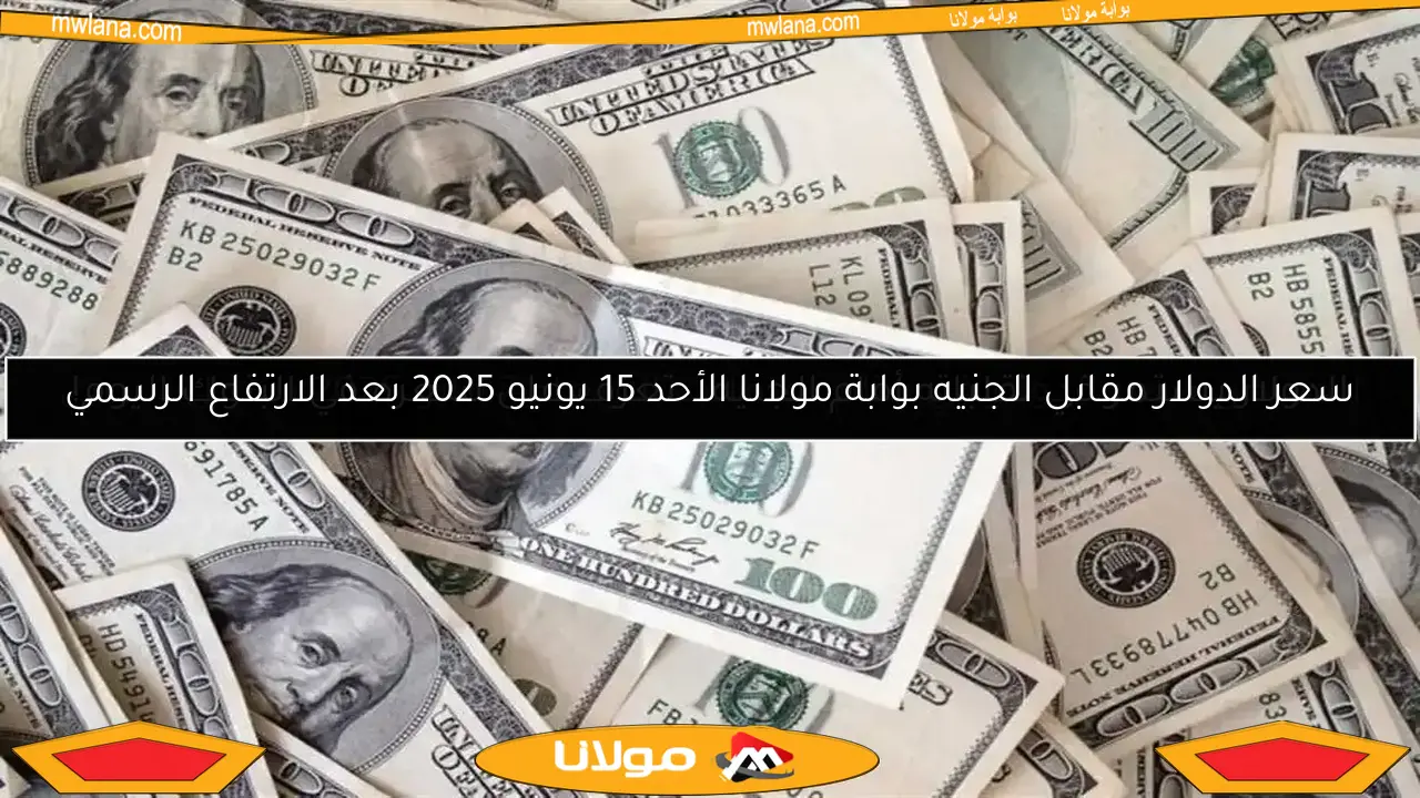 الدولار يستمر في تقلباته أمام الجنيه.. تعرف على سعره في البنوك اليوم!