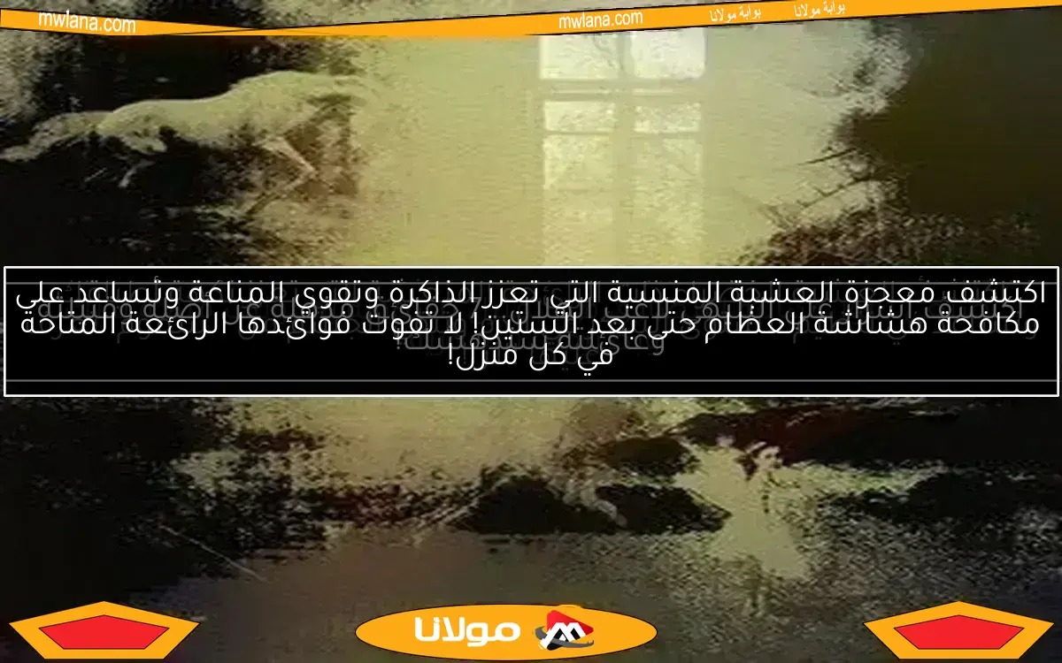 اكتشف أسرار علي البليهي لاعب الهلال.. 7 حقائق مذهلة عن أصله وقبيلته وعائلته ستدهشك!