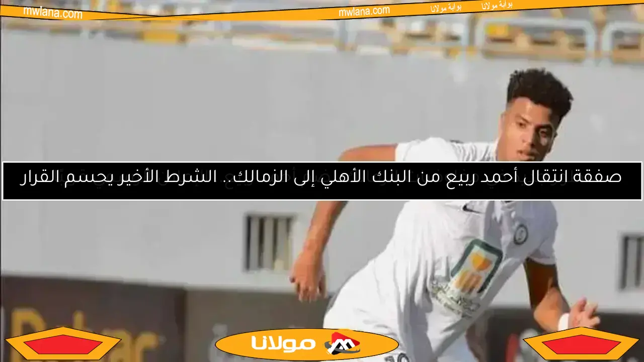 الزمالك يضم أحمد ربيع رسميًا من البنك الأهلي