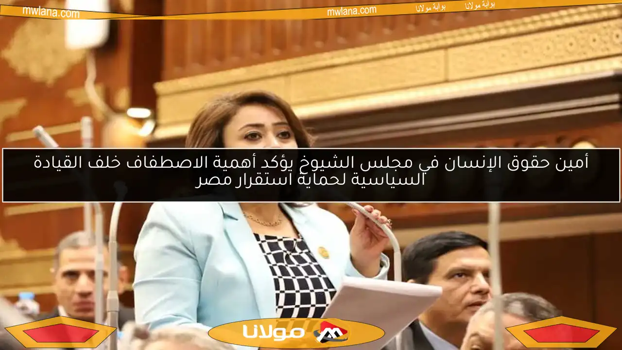أمين حقوق الإنسان في مجلس الشيوخ يؤكد أهمية الاصطفاف خلف القيادة السياسية لحماية استقرار مصر