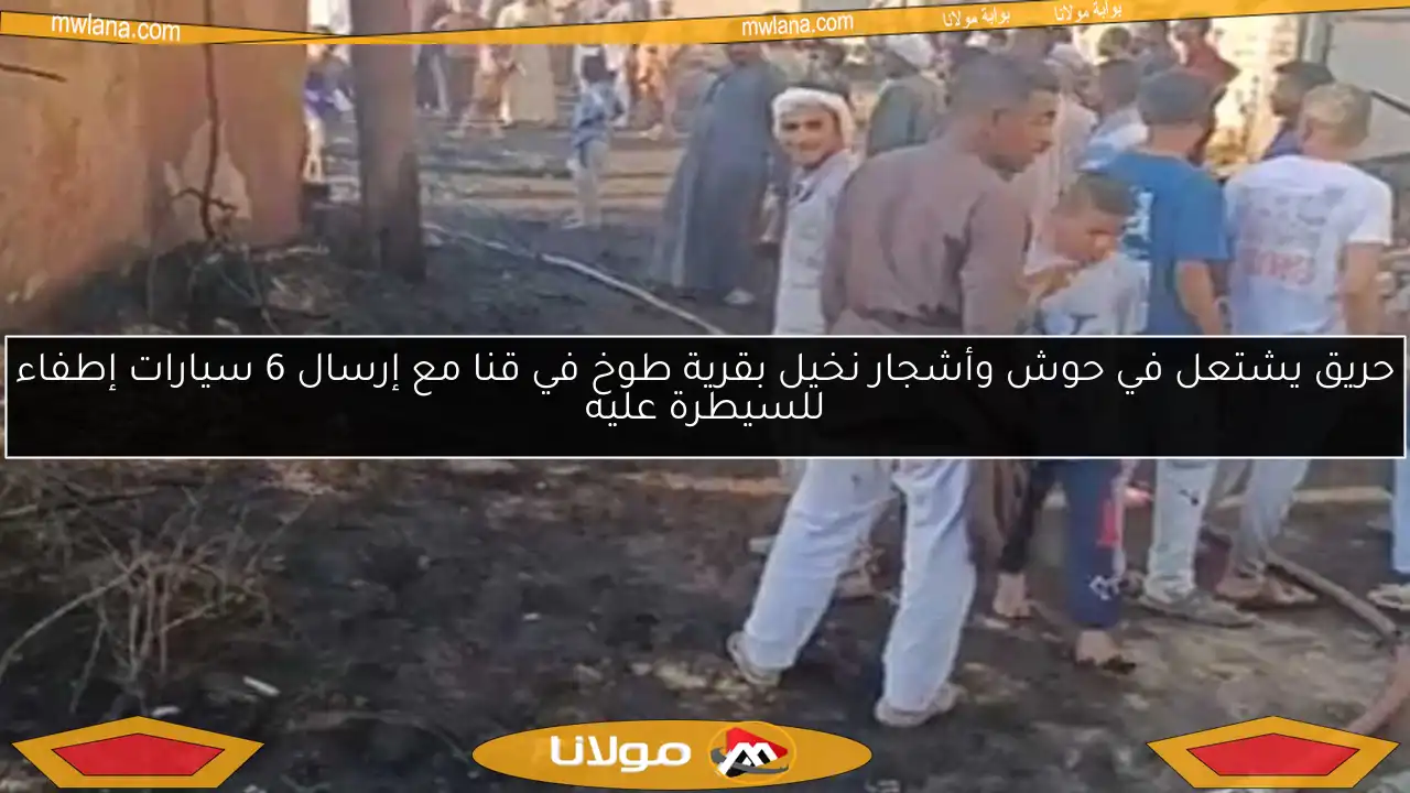 حريق يشتعل في حوش وأشجار نخيل بقرية طوخ في قنا مع إرسال 6 سيارات إطفاء للسيطرة عليه