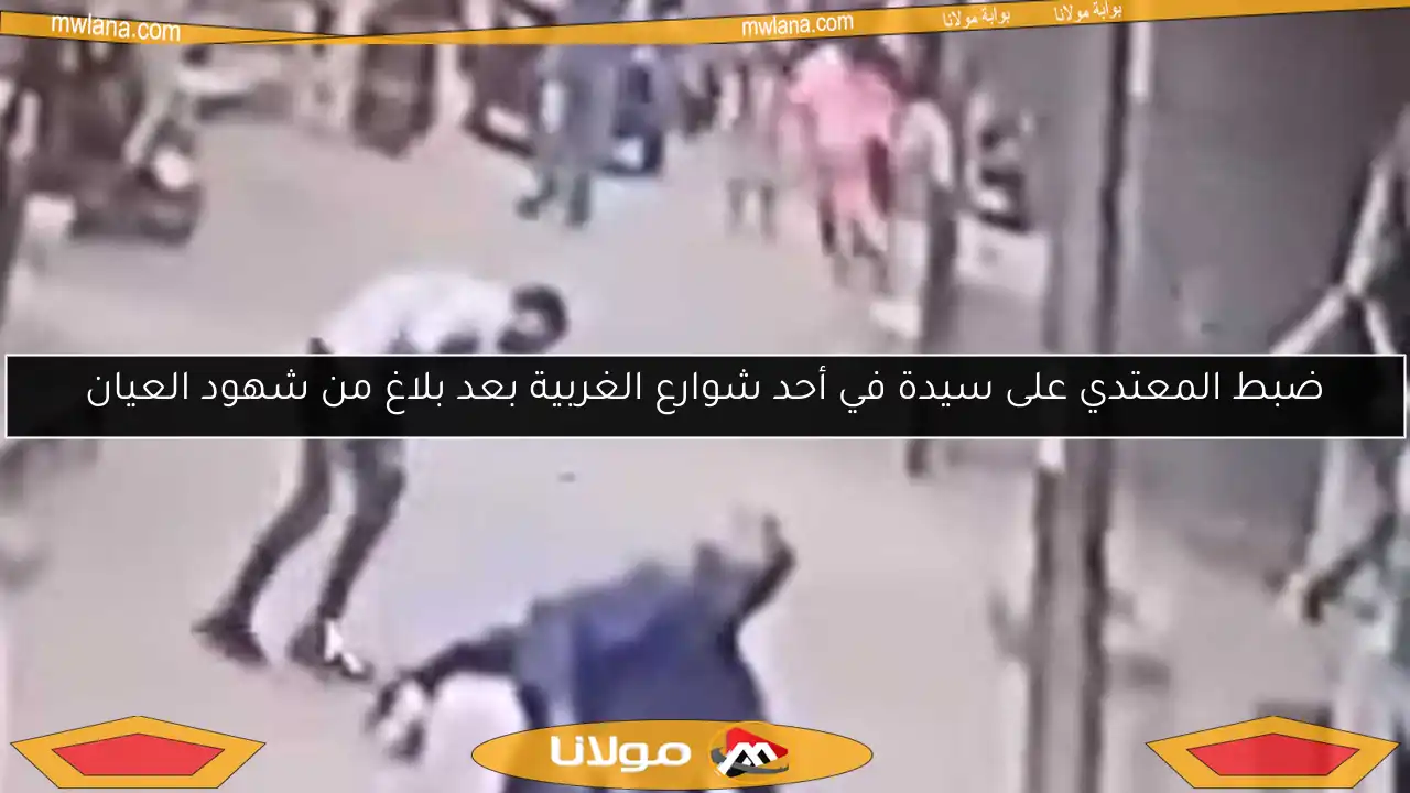 ضبط المعتدي على سيدة في أحد شوارع الغربية بعد بلاغ من شهود العيان