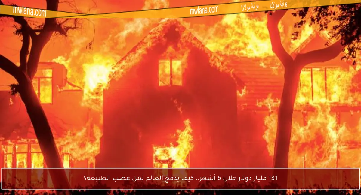131 مليار دولار خلال 6 أشهر.. كيف يدفع العالم ثمن غضب الطبيعة؟