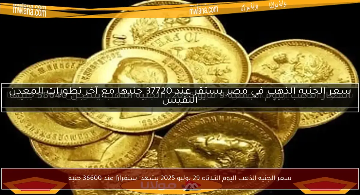 سعر الجنيه الذهب اليوم الثلاثاء 29 يوليو 2025 يشهد استقرارًا عند 36600 جنيه