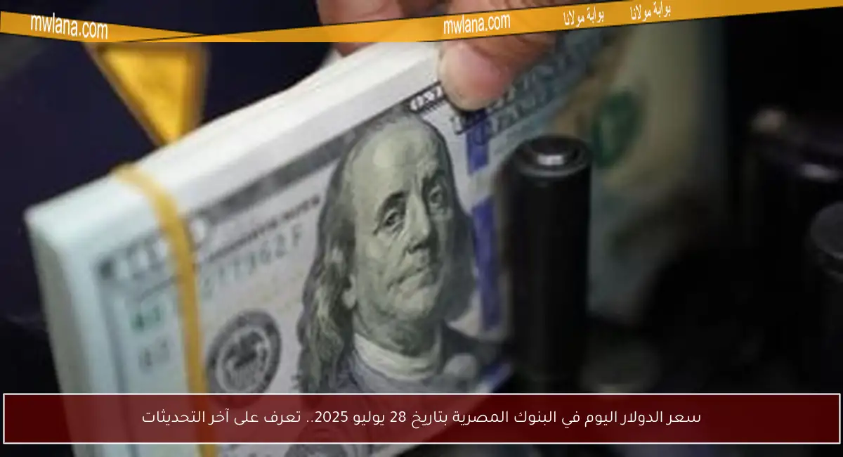 سعر الدولار اليوم في البنوك المصرية بتاريخ 28 يوليو 2025.. تعرف على آخر التحديثات