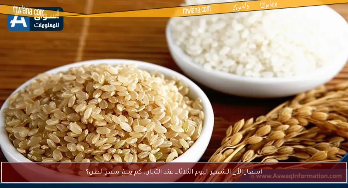أسعار الأرز الشعير اليوم الثلاثاء عند التجار.. كم يبلغ سعر الطن؟