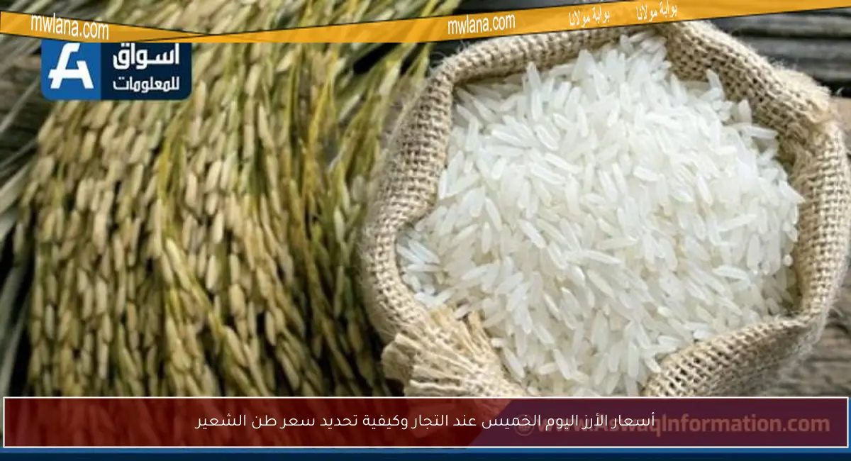 أسعار الأرز اليوم الخميس عند التجار وكيفية تحديد سعر طن الشعير