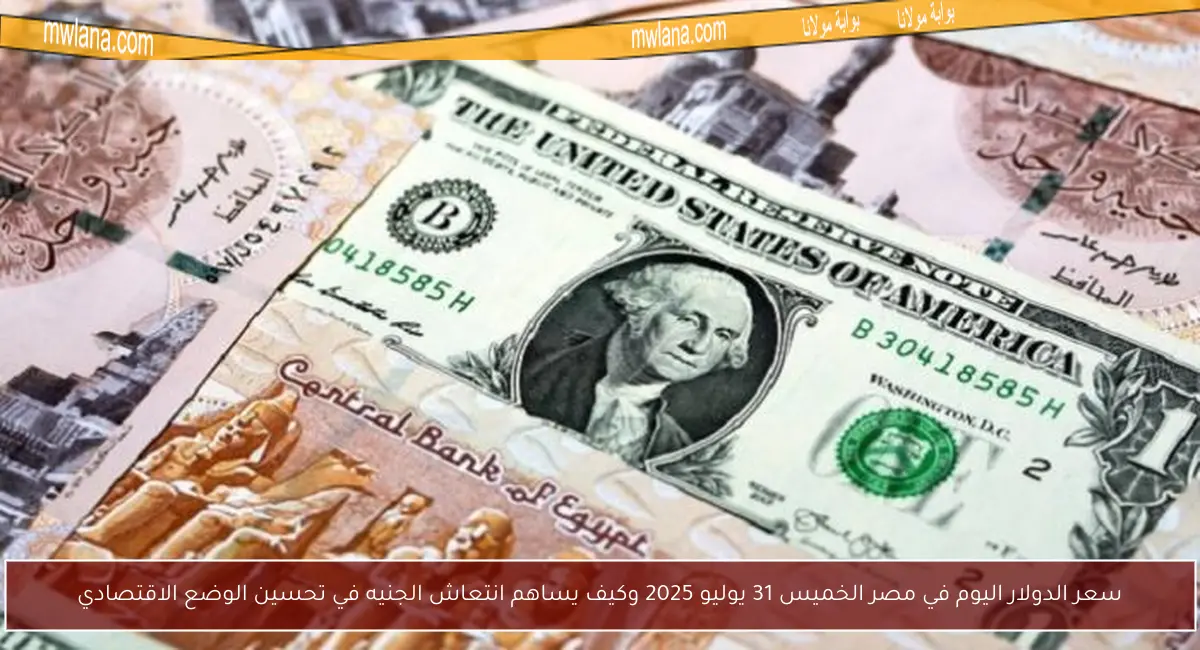 سعر الدولار اليوم في مصر الخميس 31 يوليو 2025 وكيف يساهم انتعاش الجنيه في تحسين الوضع الاقتصادي