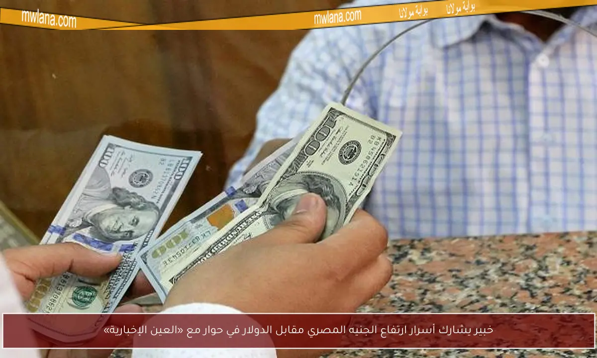 خبير يشارك أسرار ارتفاع الجنيه المصري مقابل الدولار في حوار مع «العين الإخبارية»