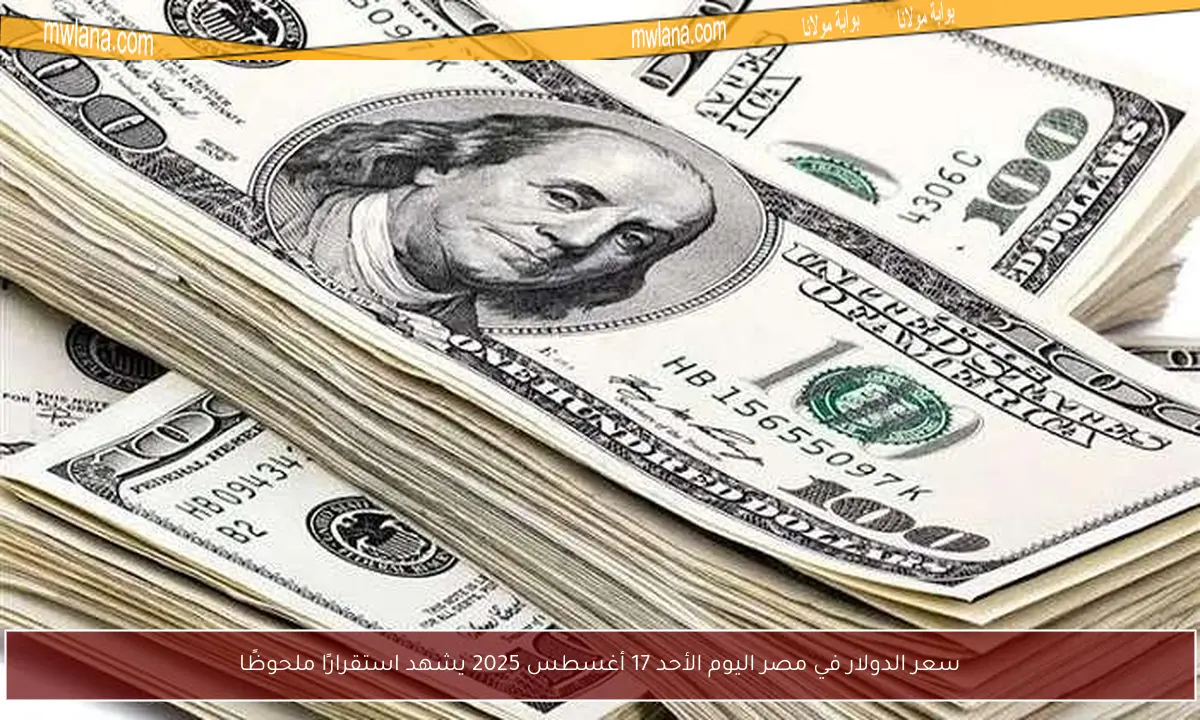 سعر الدولار في مصر اليوم الأحد 17 أغسطس 2025 يشهد استقرارًا ملحوظًا
