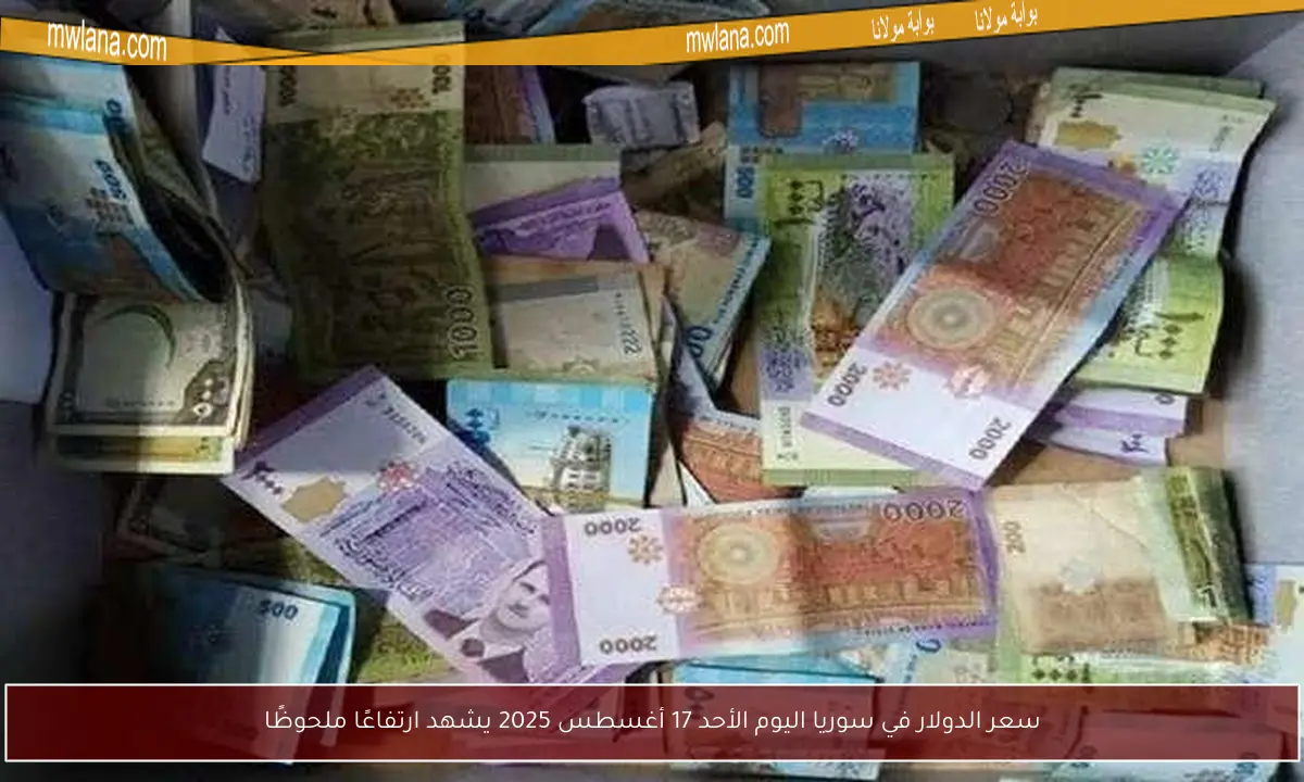 سعر الدولار في سوريا اليوم الأحد 17 أغسطس 2025 يشهد ارتفاعًا ملحوظًا