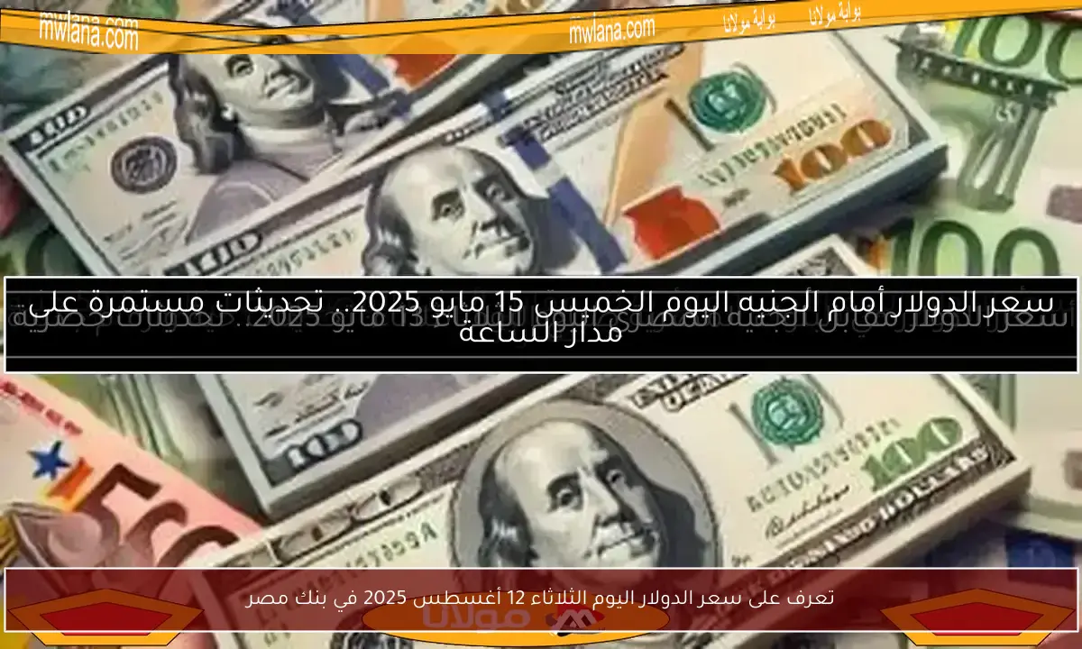 تعرف على سعر الدولار اليوم الثلاثاء 12 أغسطس 2025 في بنك مصر