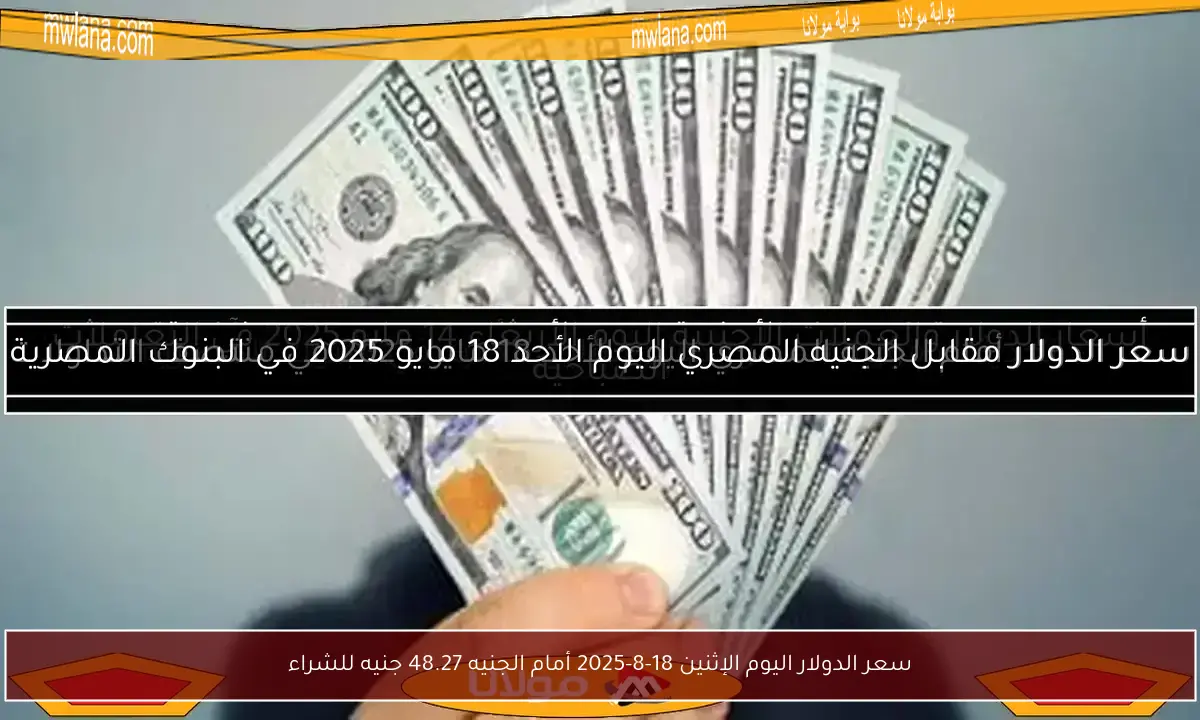 سعر الدولار اليوم الإثنين 18-8-2025 أمام الجنيه 48.27 جنيه للشراء