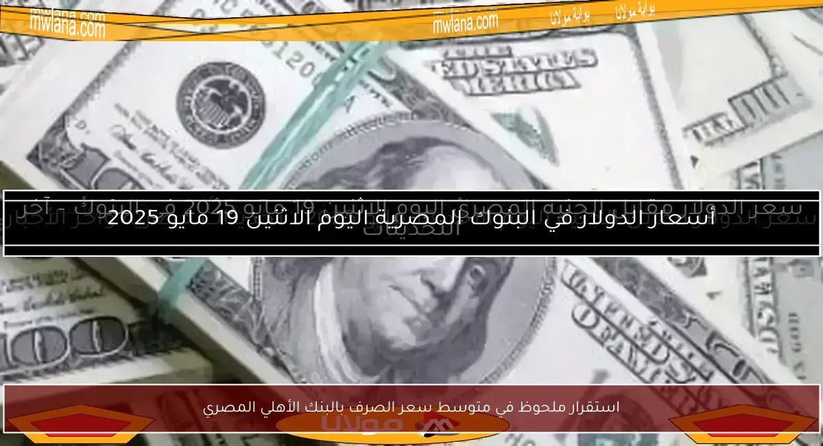 استقرار ملحوظ في متوسط سعر الصرف بالبنك الأهلي المصري