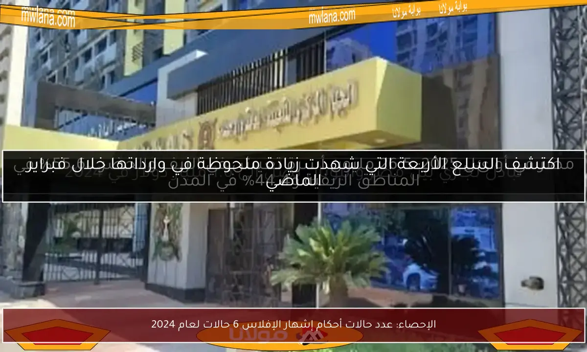 الإحصاء: عدد حالات أحكام إشهار الإفلاس 6 حالات لعام 2024