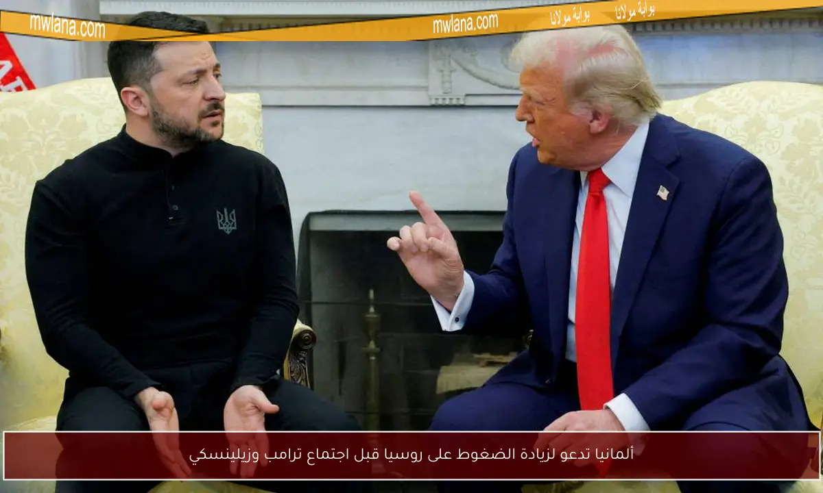 ألمانيا تدعو لزيادة الضغوط على روسيا قبل اجتماع ترامب وزيلينسكي