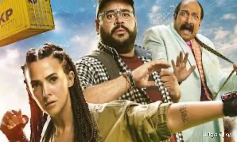 إيرادات السينما أمس تكشف تصدر درويش لشباك التذاكر ودنيا سمير غانم في المركز الثالث