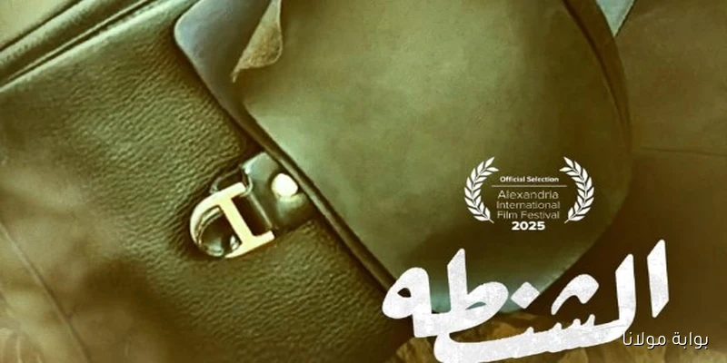 مهرجان الإسكندرية السينمائي يكشف عن أفلام مسابقة شباب مصر لطلاب السينما