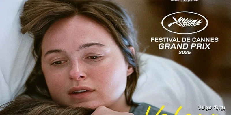 النرويج تختار فيلم «Sentimental Value» لتمثيلها في الأوسكار 2026 بشكل رسمي