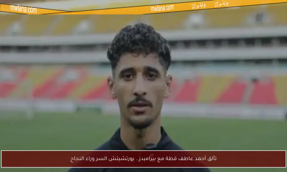 تألق أحمد عاطف قطة مع بيراميدز.. يورتشيتش السر وراء النجاح