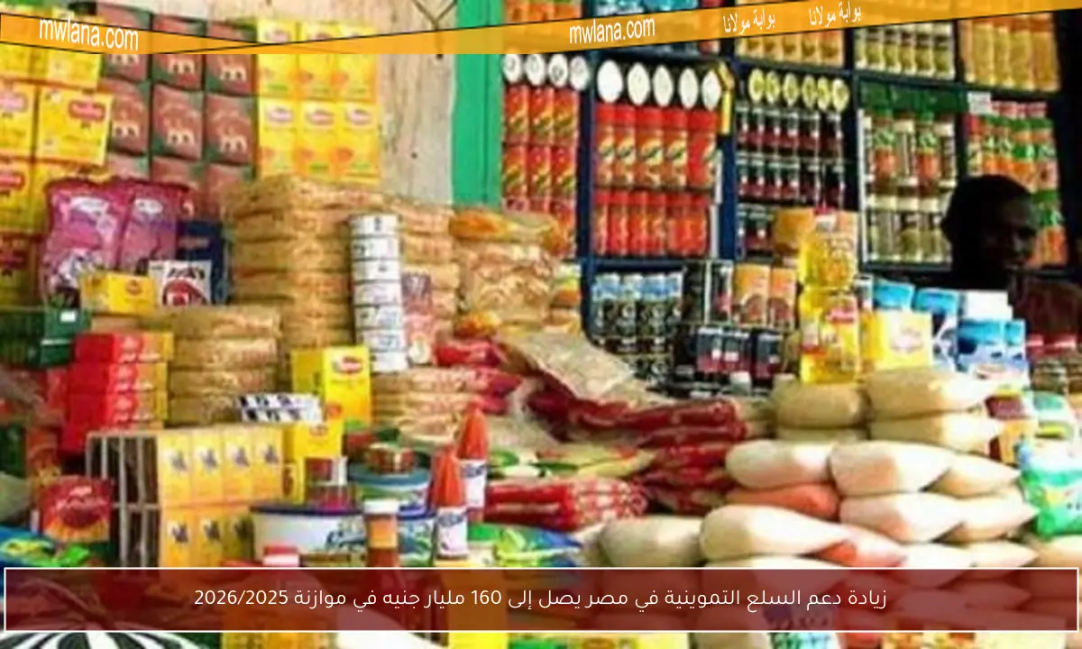 زيادة دعم السلع التموينية في مصر يصل إلى 160 مليار جنيه في موازنة 2026/2025