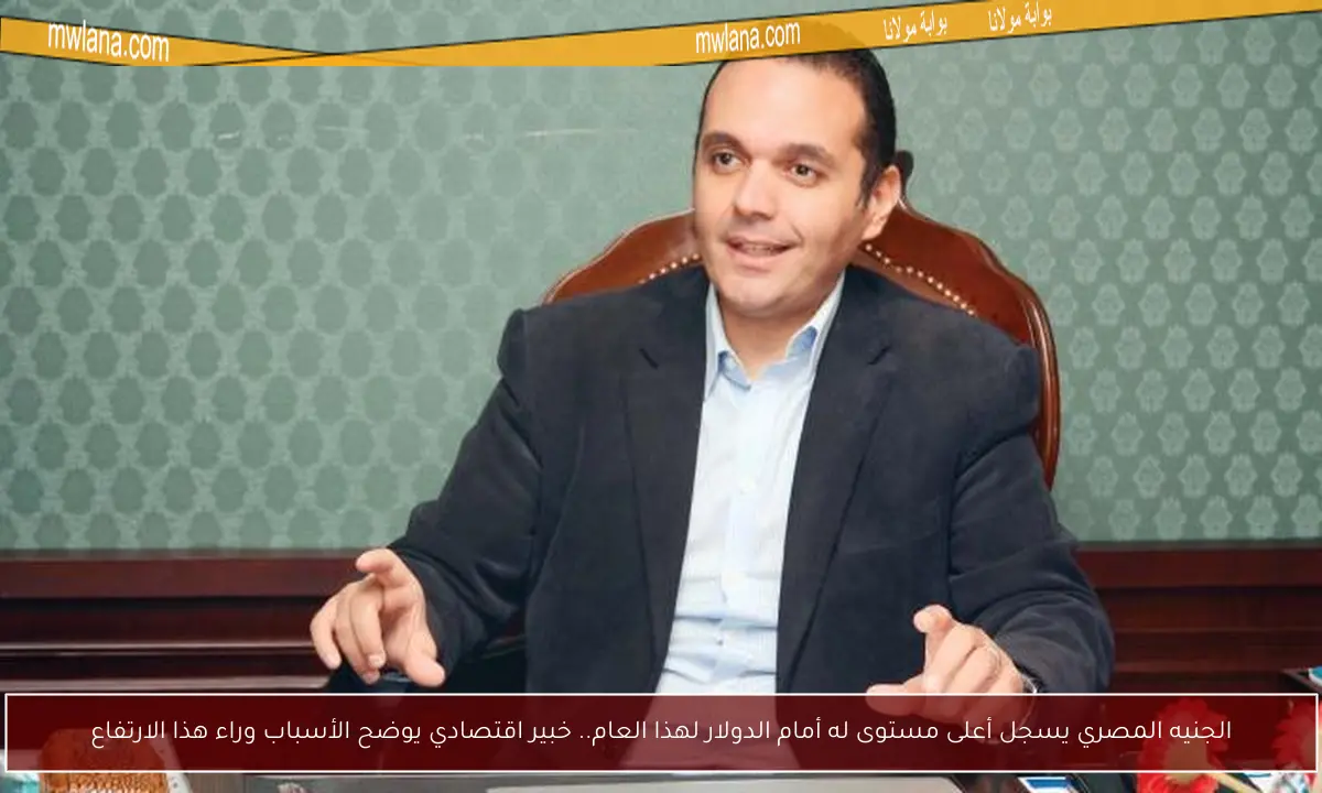 الجنيه المصري يسجل أعلى مستوى له أمام الدولار لهذا العام.. خبير اقتصادي يوضح الأسباب وراء هذا الارتفاع