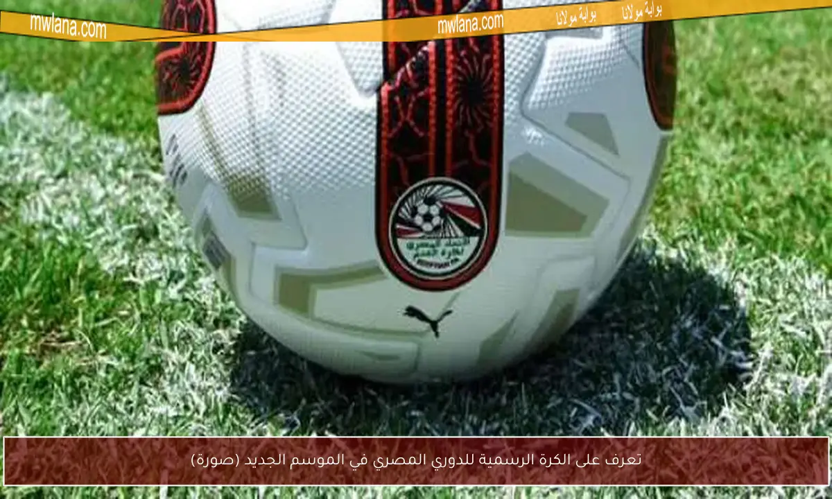 تعرف على الكرة الرسمية للدوري المصري في الموسم الجديد (صورة)