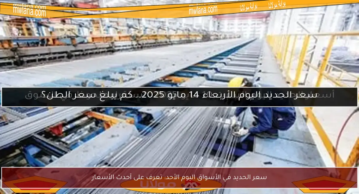 سعر الحديد في الأسواق اليوم الأحد: تعرف على أحدث الأسعار