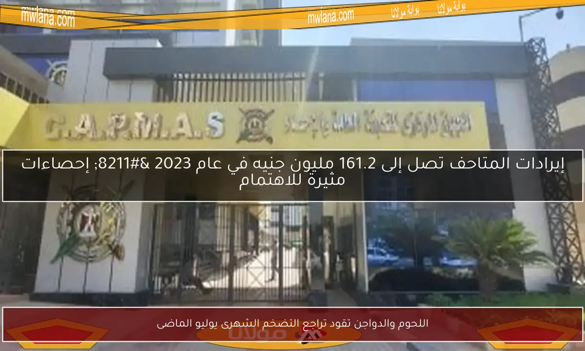 اللحوم والدواجن تقود تراجع التضخم الشهرى يوليو الماضى
