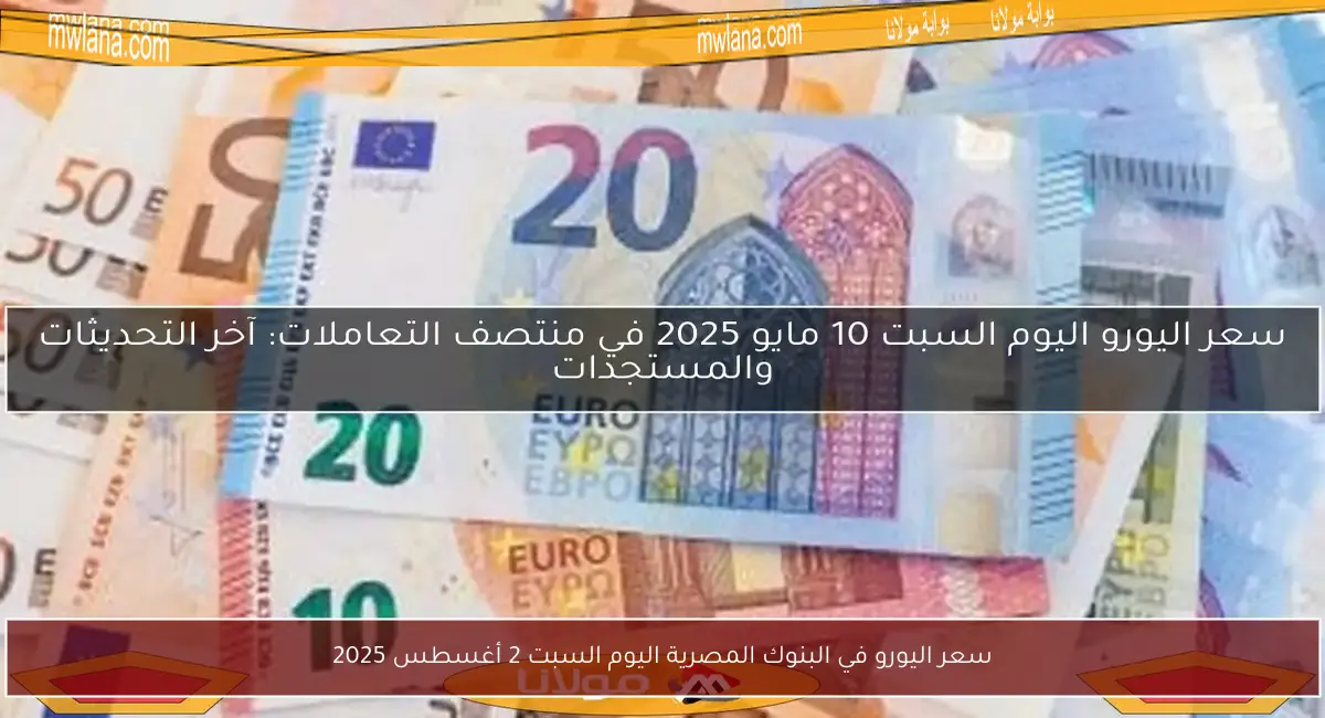سعر اليورو في البنوك المصرية اليوم السبت 2 أغسطس 2025