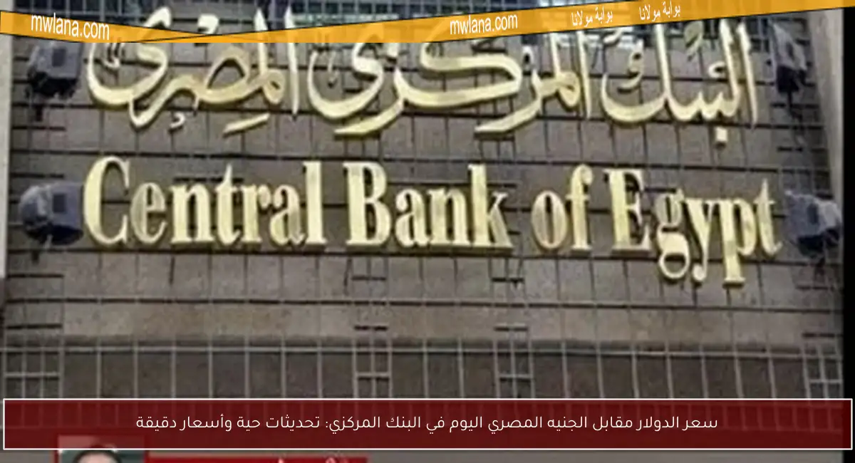 سعر الدولار مقابل الجنيه المصري اليوم في البنك المركزي: تحديثات حية وأسعار دقيقة
