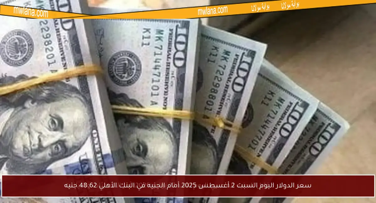 سعر الدولار اليوم السبت 2 أغسطس 2025 أمام الجنيه في البنك الأهلي 48.62 جنيه