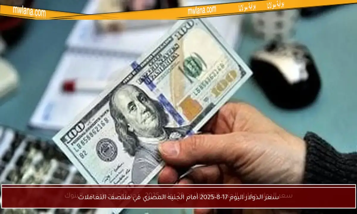 سعر الدولار اليوم 17-8-2025 أمام الجنيه المصري في منتصف التعاملات