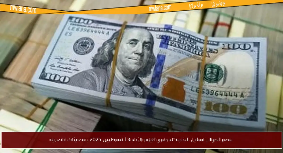 سعر الدولار مقابل الجنيه المصري اليوم الأحد 3 أغسطس 2025.. تحديثات حصرية