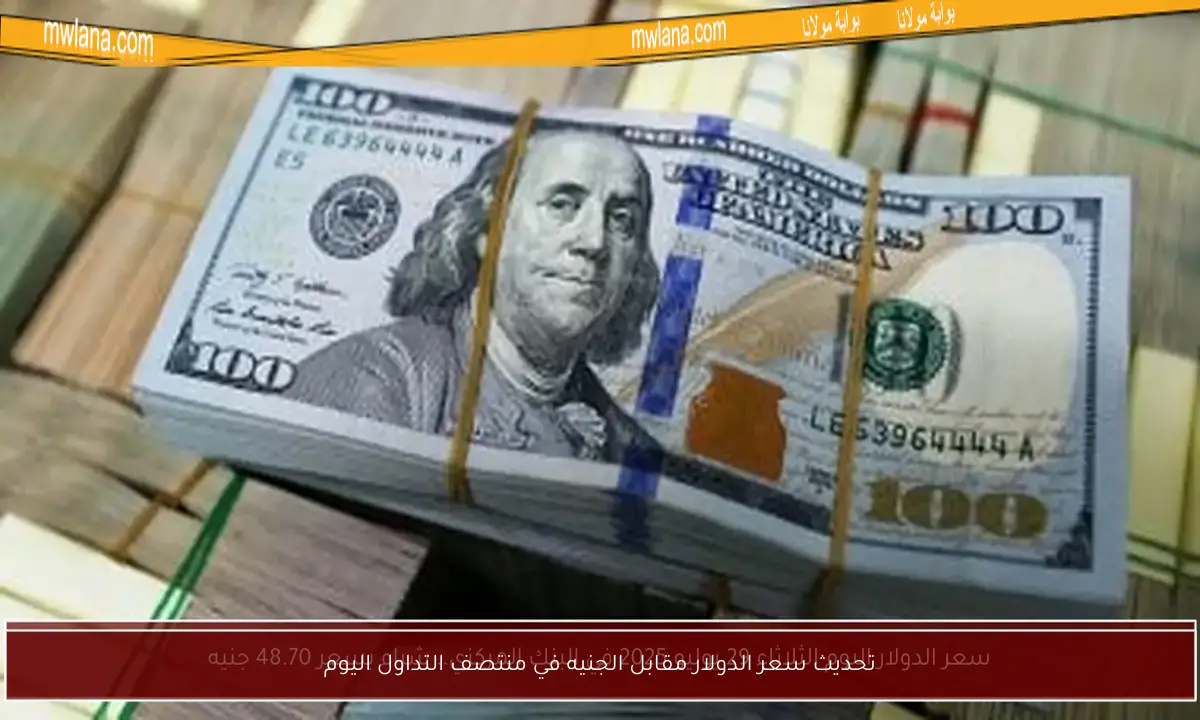 تحديث سعر الدولار مقابل الجنيه في منتصف التداول اليوم
