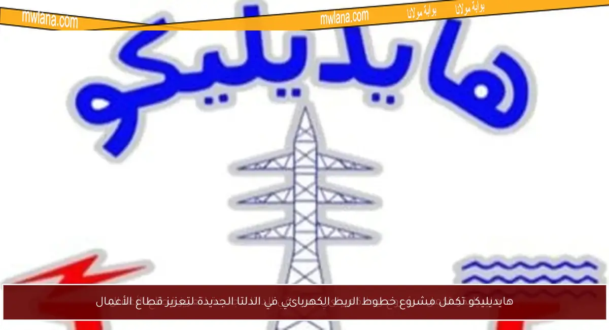 هايديليكو تكمل مشروع خطوط الربط الكهربائي في الدلتا الجديدة لتعزيز قطاع الأعمال