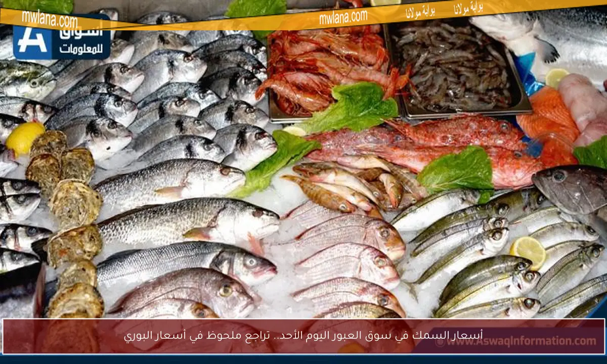 أسعار السمك في سوق العبور اليوم الأحد.. تراجع ملحوظ في أسعار البوري