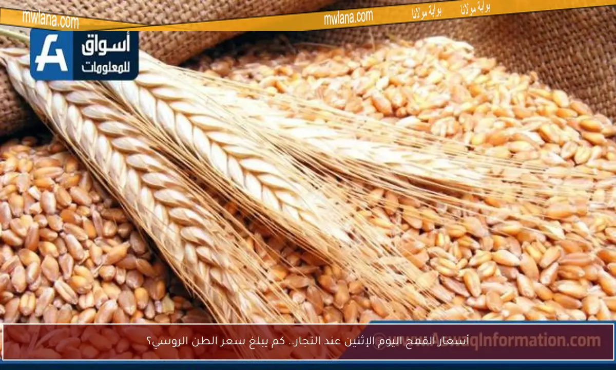 أسعار القمح اليوم الإثنين عند التجار.. كم يبلغ سعر الطن الروسي؟