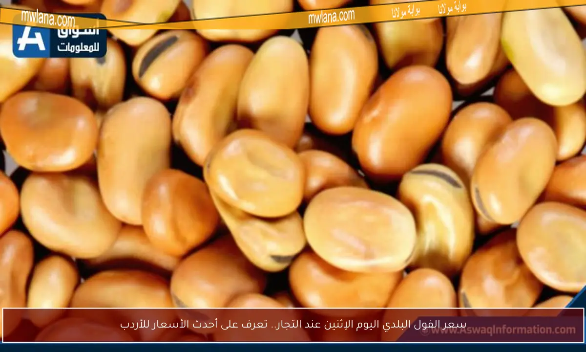 سعر الفول البلدي اليوم الإثنين عند التجار.. تعرف على أحدث الأسعار للأردب