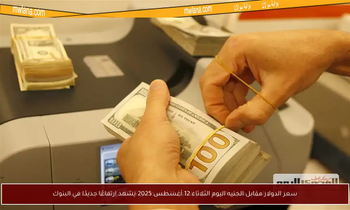 سعر الدولار مقابل الجنيه اليوم الثلاثاء 12 أغسطس 2025 يشهد ارتفاعًا جديدًا في البنوك