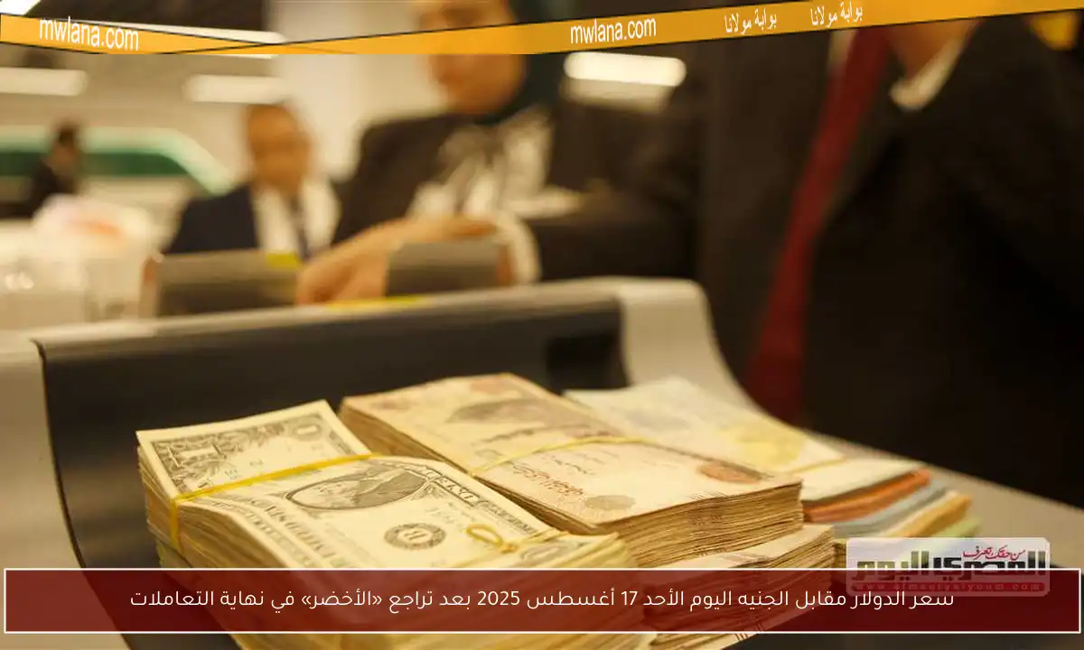 سعر الدولار مقابل الجنيه اليوم الأحد 17 أغسطس 2025 بعد تراجع «الأخضر» في نهاية التعاملات