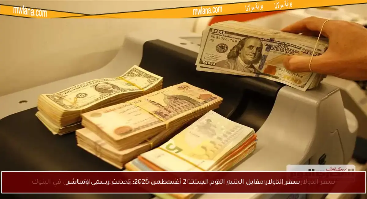 سعر الدولار مقابل الجنيه اليوم السبت 2 أغسطس 2025: تحديث رسمي ومباشر