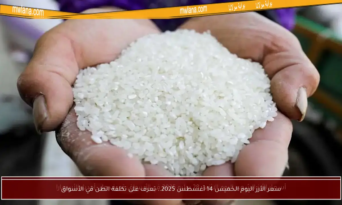 سعر الأرز اليوم الخميس 14 أغسطس 2025.. تعرف على تكلفة الطن في الأسواق