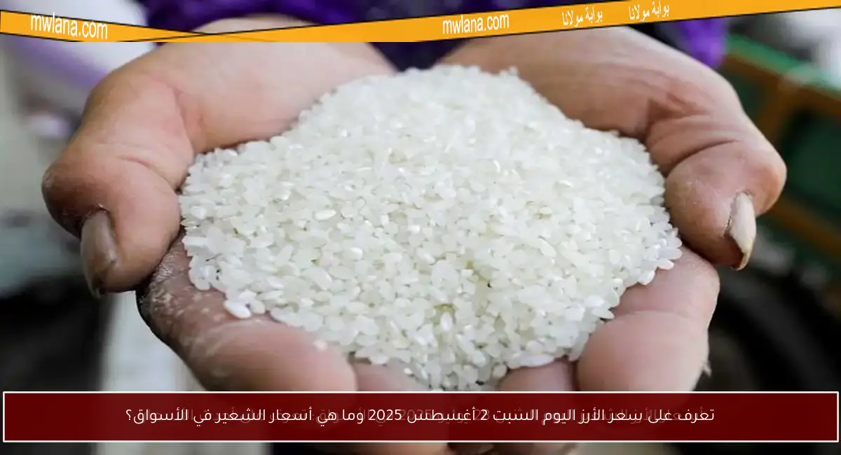 تعرف على سعر الأرز اليوم السبت 2 أغسطس 2025 وما هي أسعار الشعير في الأسواق؟