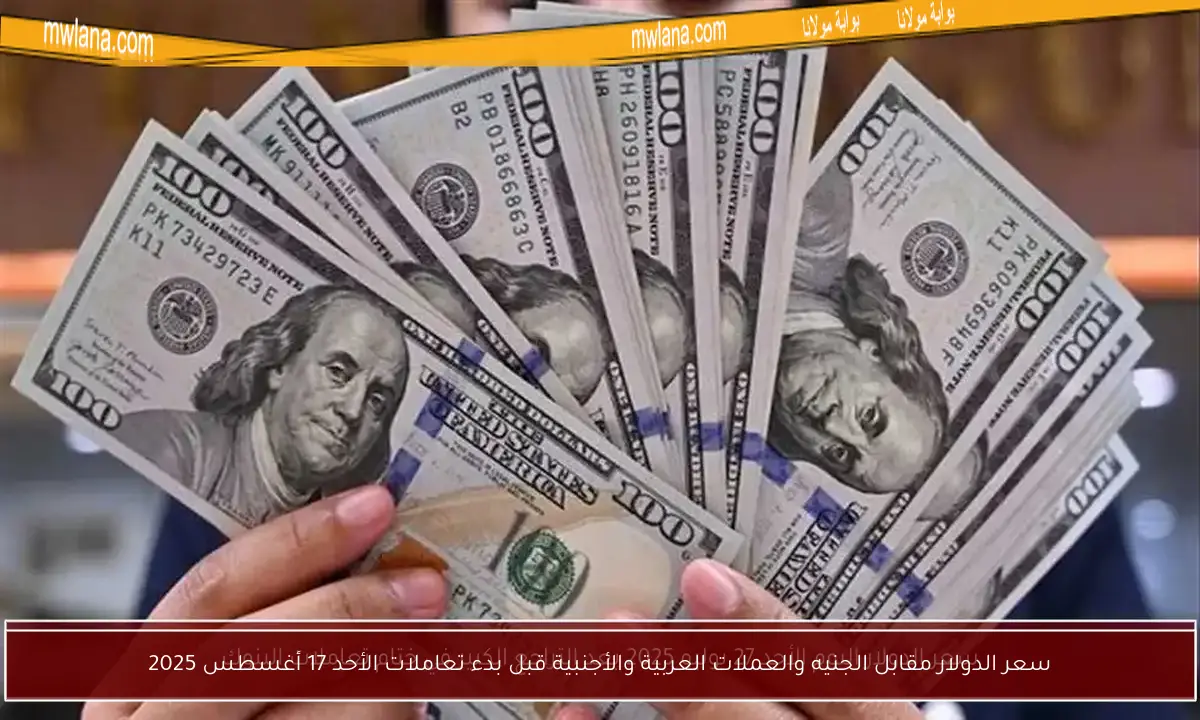 سعر الدولار مقابل الجنيه والعملات العربية والأجنبية قبل بدء تعاملات الأحد 17 أغسطس 2025